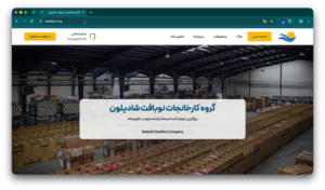 طراحی سایت شادیلون